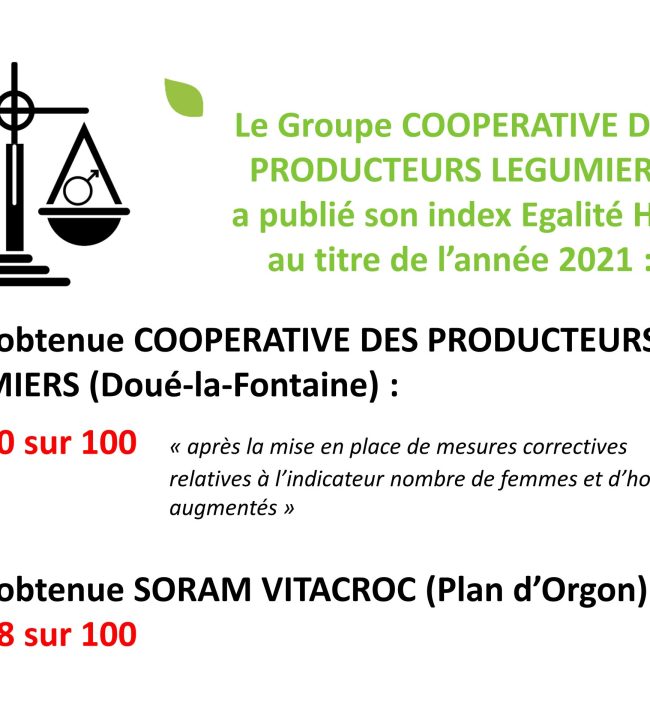 Index égalité hommes/femmes