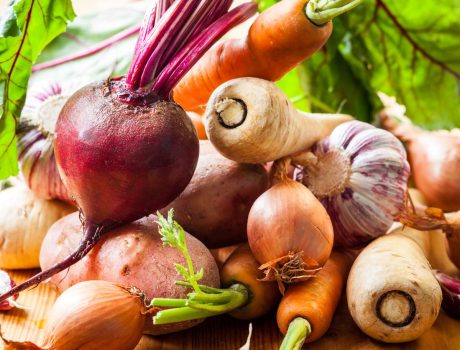 Nouvelles Solutions Food Service automne-hiver 2023