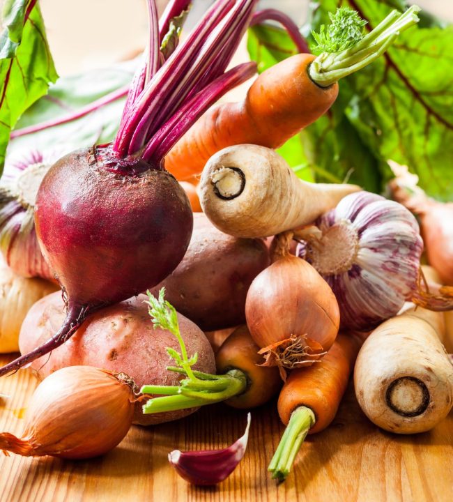 Nouvelles Solutions Food Service automne-hiver 2023